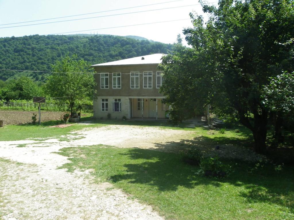 Tamuna Guest House 马尔特维利 外观 照片